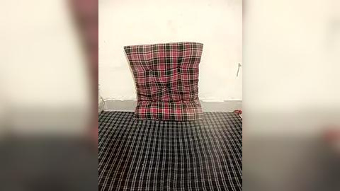 Media: Video of a plaid-patterned, tufted cushion chair against a plain white wall, set against a checkered black and white floor, creating a stark, minimalist interior.