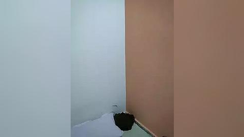 Media: A video of a narrow, dimly lit hallway with a large, gaping hole in the wall, revealing a dark, unfinished space behind it. The walls are painted in light beige and off-white, creating a stark contrast.