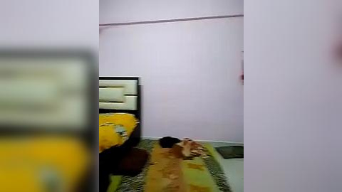 Media: A video of a small, dimly-lit room with a bed against the left wall, a yellow rug, and a partially visible person lying on the floor in the foreground. The walls are painted light pink.