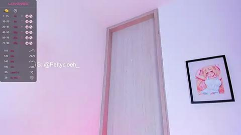 Media: Video of a minimalist room with a tall, light-colored door in the background, a framed anime-style illustration of a girl on the right wall, and a digital camera display on the left.