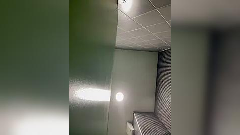 Media: Video of a minimalist, modern room with light green walls, a recessed ceiling light, and a textured metal railing on the right. The floor is covered in dark, patterned tiles.