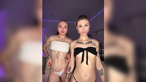 Media: Video of two young women with tattoos, wearing matching black and white lingerie, posing in a dimly lit room with purple lighting.