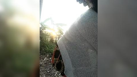 Media: Video: A person in a beige sweater stands next to a wooden door, partially open, allowing sunlight to stream in, creating a bright, sunny outdoor scene with palm trees and lush greenery in the background.