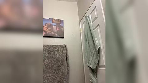 Media: A video of a beige bathroom with a towel rack, a framed photo, and a mint-green towel hanging on a white door. The image is slightly blurred.