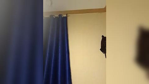 Media: Video of a beige wall with a black hook, blue curtain partially drawn to the left, and a blurred silhouette of a person in the right foreground.