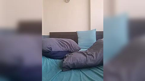 Media: A video of a modern bedroom with a queen-sized bed covered in teal and gray bedding. The room has light beige walls and a simple, minimalist decor.