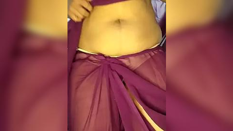 Media: A video showing a person's midsection, with a purple sari partially covering their abdomen, revealing a light brown skin tone and navel. The background is blurred, focusing on the sari's intricate pleats and the person's waist.