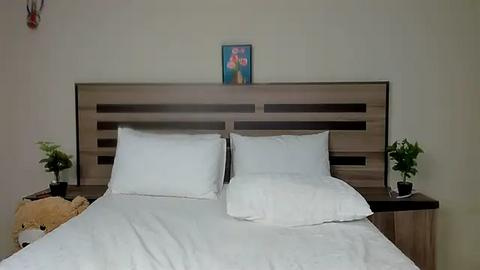 Media: Video of a minimalist bedroom with a wooden headboard, two white pillows, a framed painting on the wall, and small potted plants on each side of the bed.