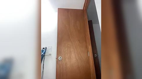 Media: Video of a narrow hallway with a wooden door featuring a metal handle and a white electrical outlet on the left wall. The lighting is soft and diffused, highlighting the natural grain of the wood.