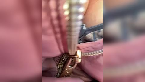 Media: A close-up video of a person's hand opening a pink, zipped-up bag with a gold zipper pull. The background is blurred, emphasizing the texture and material of the bag.