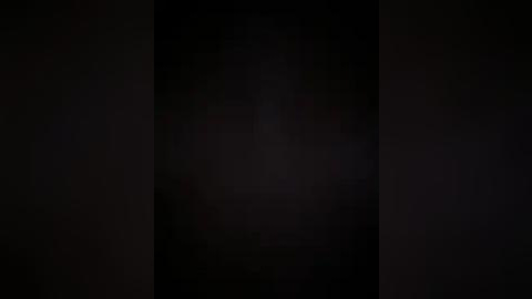 Media: A dimly lit video showing a narrow, dark, vertical rectangular shape in the center, surrounded by a deep, almost black background, with no discernible objects or people.