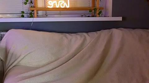 Media: Video of a beige blanket draped over a couch, with a glowing \"S\" sign above a window, green plants hanging from the window sill, and dark grey wall in the background.