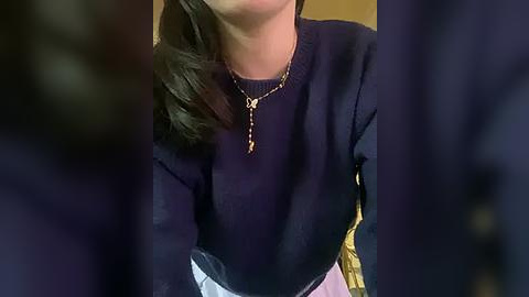 Media: A close-up video of a person wearing a navy blue sweater with a gold chain necklace, partially obscured by out-of-focus dark objects.