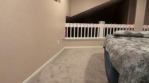 Media: A video of a small, cozy bedroom with beige walls, a plush gray carpet, and a bed covered in a faux fur blanket. The room features a white railing and a pink flag, giving it a playful, warm atmosphere.