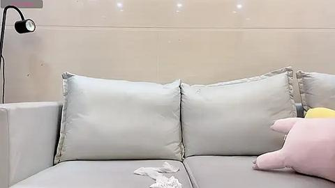 Media: Video of a light-gray, plush couch with two large pillows, featuring a hand holding a white tissue and a stuffed yellow toy, against a beige wall.