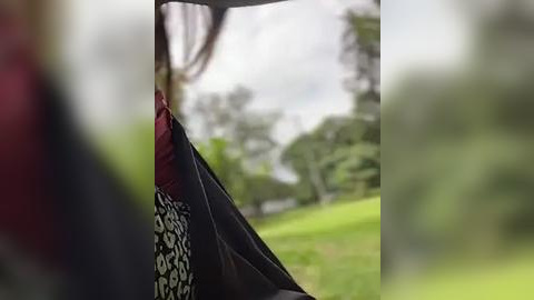 Media: A video of a person wearing a patterned black and white blouse, sitting inside a car with a blurred green park and trees visible outside.