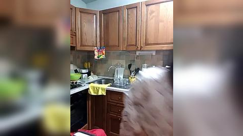 Media: A video of a small, cluttered kitchen with wooden cabinets, a stainless steel sink, a blender, and a dog's fur-covered face in the foreground.