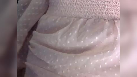 Media: Video of a person's upper torso in a light-colored, sheer, polka-dotted blouse with a ribbed collar, showcasing the fabric's soft texture and gentle folds. The background is blurred, focusing on the garment's details.