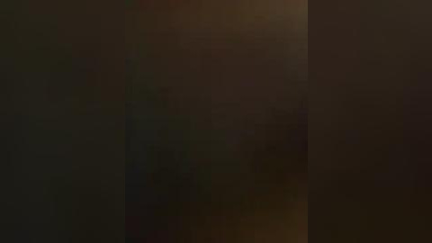 Media: A blurred video featuring a dark, indistinct background with indiscernible shapes and textures, possibly suggesting a dense forest or a dimly lit room. The image lacks specific details or identifiable objects.
