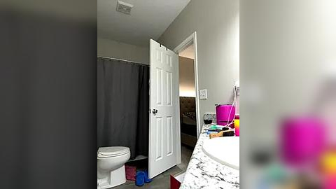 Media: Video of a small, tidy bathroom with a white toilet, grey shower curtain, white door open to hallway, cluttered sink, and bright light.