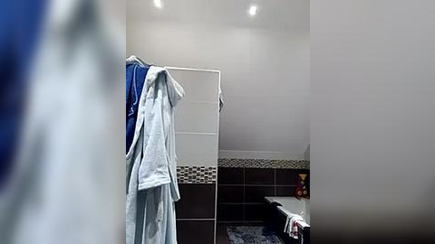 Media: Video of a modern, well-lit bathroom with white walls, a large mirror, and a blue robe hanging on a hook. The background features dark tiles with a mosaic border and a cluttered countertop.