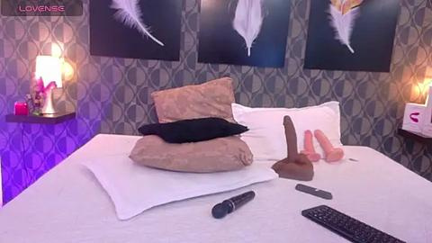 Media: A video of a modern bedroom with a white bed, a brown pillow, feather decorations, a dildo, and a remote control on the bedspread, against a patterned wallpaper backdrop.
