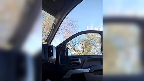 Media: Video of a parked SUV with tinted windows, showing a blurred reflection of a person standing in front of a cherry blossom tree under a clear blue sky.