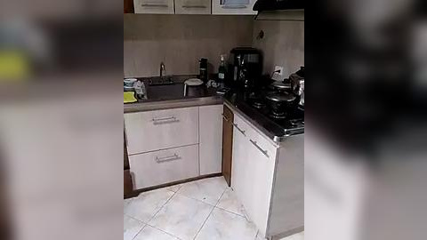 Media: A video of a small, modern kitchen with beige cabinets, stainless steel appliances, and tiled floor. The sink, black coffeemaker, and microwave are visible. The image is slightly blurred.