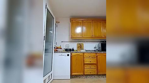 Media: Video of a small, modern kitchen with light wooden cabinets, white appliances, and granite countertops. The room features a narrow layout with a glass door leading outside on the left.