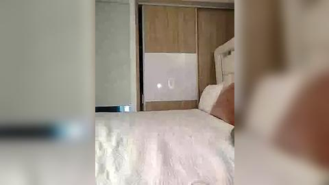 Media: Video of a minimalist bedroom with a neatly made bed, beige headboard, and wooden wardrobe doors. The room is bathed in soft, natural light.