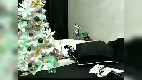 Media: Video of a festive, decorated Christmas tree with white ornaments, green lights, and a white skirt, next to a black table with scattered black and white clothes, set against a plain white wall.
