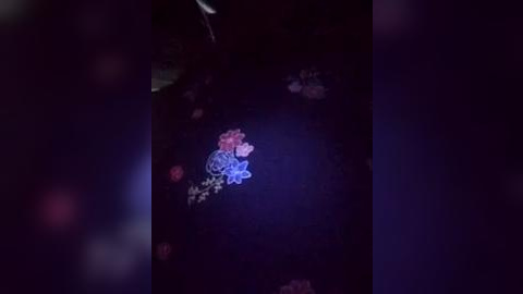 Media: A dimly lit video shows a small, brightly colored, cartoon-like figure with red and blue hues, partially hidden in shadow. The background is dark and indistinct, with indiscernible objects or textures.