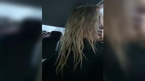 Media: A video of a person with long, wet, blonde hair in a dark car interior, slightly blurred, showing a gloomy, possibly rainy day outside.