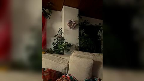 Media: A video of a cozy, dimly-lit living room with beige couches, patterned pillows, and green plants. A decorative sphere hangs on the wall, adding a touch of elegance.