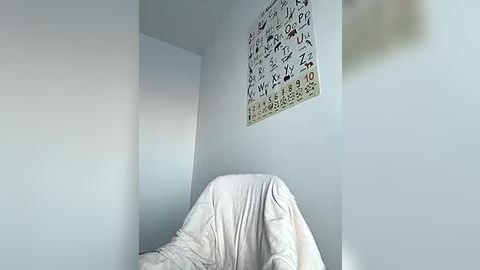 Media: Video of a minimalist, light-colored bedroom with a white sheet-covered chair against a plain white wall. A decorative, white-framed alphabet poster hangs above the chair.