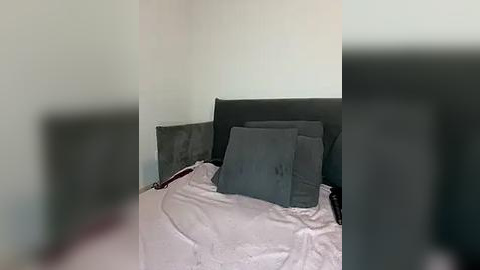 Media: Video of a dimly lit bedroom with a dark gray headboard, gray pillows, and a white bedsheet. The background is blurred, suggesting a possible out-of-focus camera or a low-light environment.