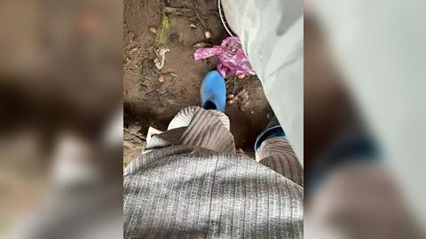 Media: A blurred video shows a person in a gray, striped sweater and blue pants squatting beside a blue plastic bottle on dirt ground.