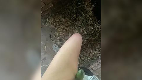 Media: Video of a human leg with a green sock, standing in a dirt floor room filled with hay. The leg's skin is light, and the background is dimly lit, creating a rustic, earthy ambiance.