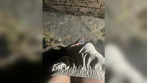 Media: A blurry video of a partially obscured person lying on their back on a concrete floor with a brick wall in the background. The person is wearing a light-colored sweater.