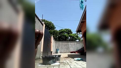 Media: Video of a dusty backyard with a grey concrete wall, a black trash can, and green plants in the foreground, under a clear blue sky.