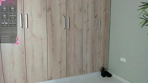 Media: Video of a minimalist, light-wooden wardrobe with silver handles, placed against a green wall. A black cat sits on the floor beside it.