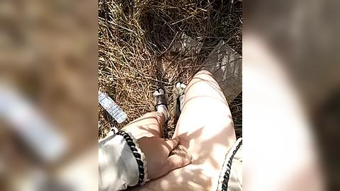 Media: A video of a person lying on their back in a nest of twigs, wearing a white and black dress, with a cellphone visible beside them, surrounded by natural, sunlit foliage.