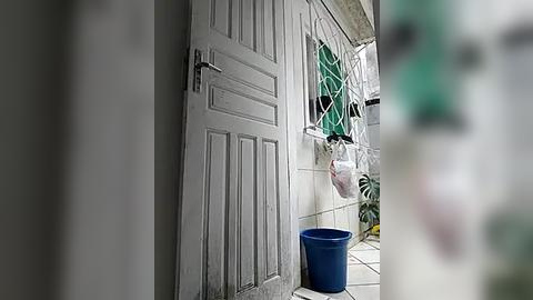 Media: A video of a gray, weathered wooden door with a metal handle, set against a white wall with a green, crumpled laundry drying on a line. A blue plastic bin is placed on the tiled floor nearby.