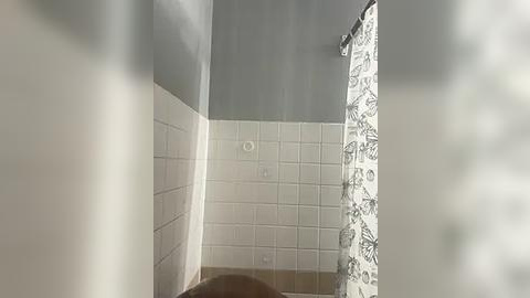 Media: A video of a narrow bathroom with beige tiles on the lower half and white tiles on the upper half, featuring a white shower curtain with a floral pattern on the right.