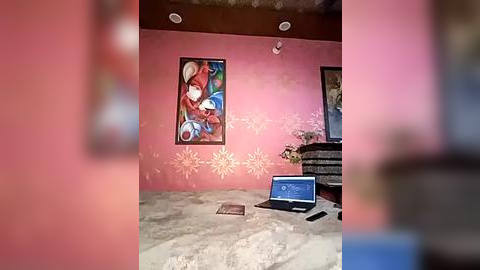 Media: Video of a pink-painted room with abstract art, a laptop, and a TV, featuring a blurry figure in the background.