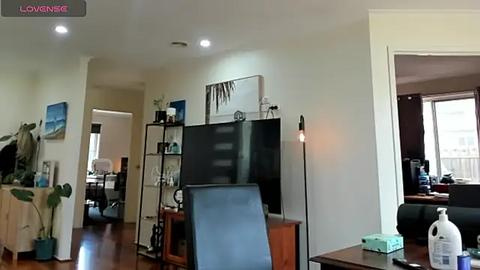 Media: A video of a modern living room with a flat-screen TV, a shelf with decorative items, a desk with a water bottle, and a wooden dining table with a black chair.